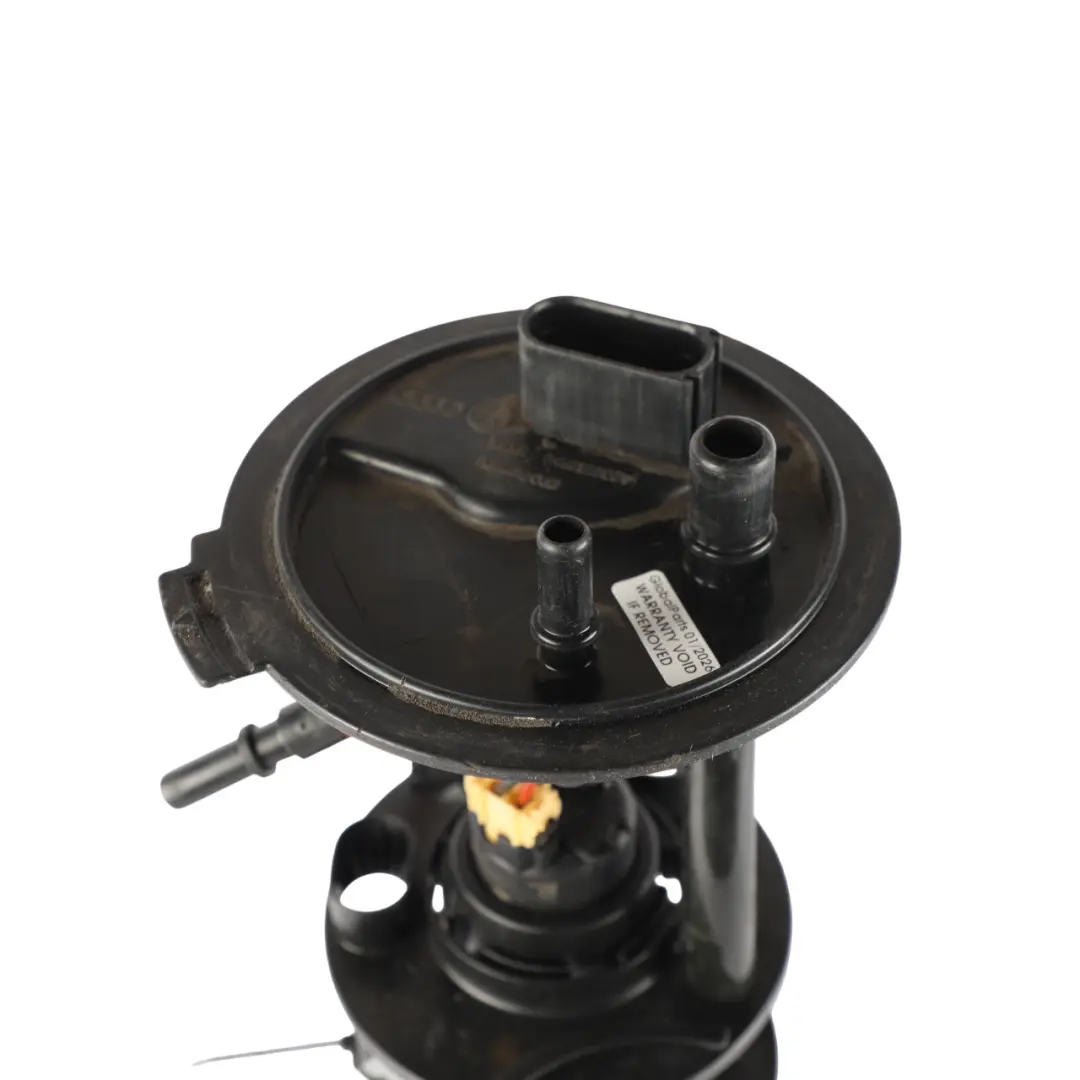 Audi R8 42 Fuel Delivery Module Pump - SKU 420201319C - Part number 420201319C