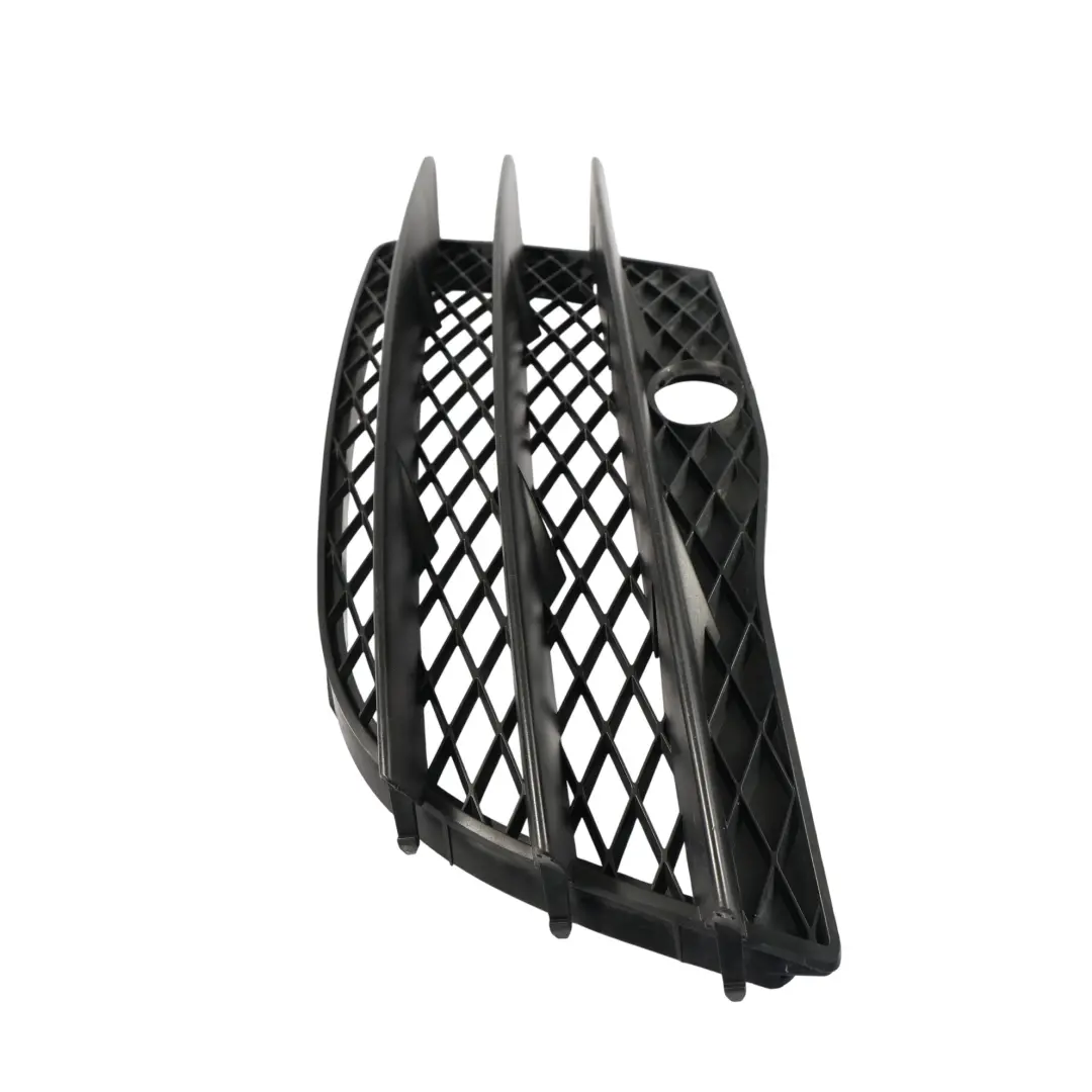 Audi R8 42 Spyder Vordere Untere Stoßstange Kühlergrill Trim Links - SKU 420807681 - Teilenummer 420807681