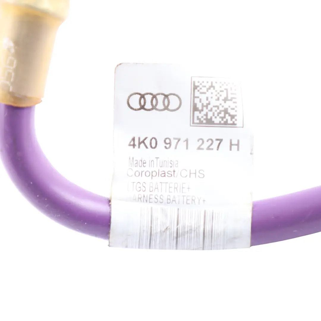 Wiring Harness Earth Cable 3.0 TFSI to Audi A6 C8 Battery with Part number 4K0971227H Audi A6 C8 Battery Wiring Harness Earth Cable 3.0 TFSI - SKU 4K0971227H - Part number 4K0971227H