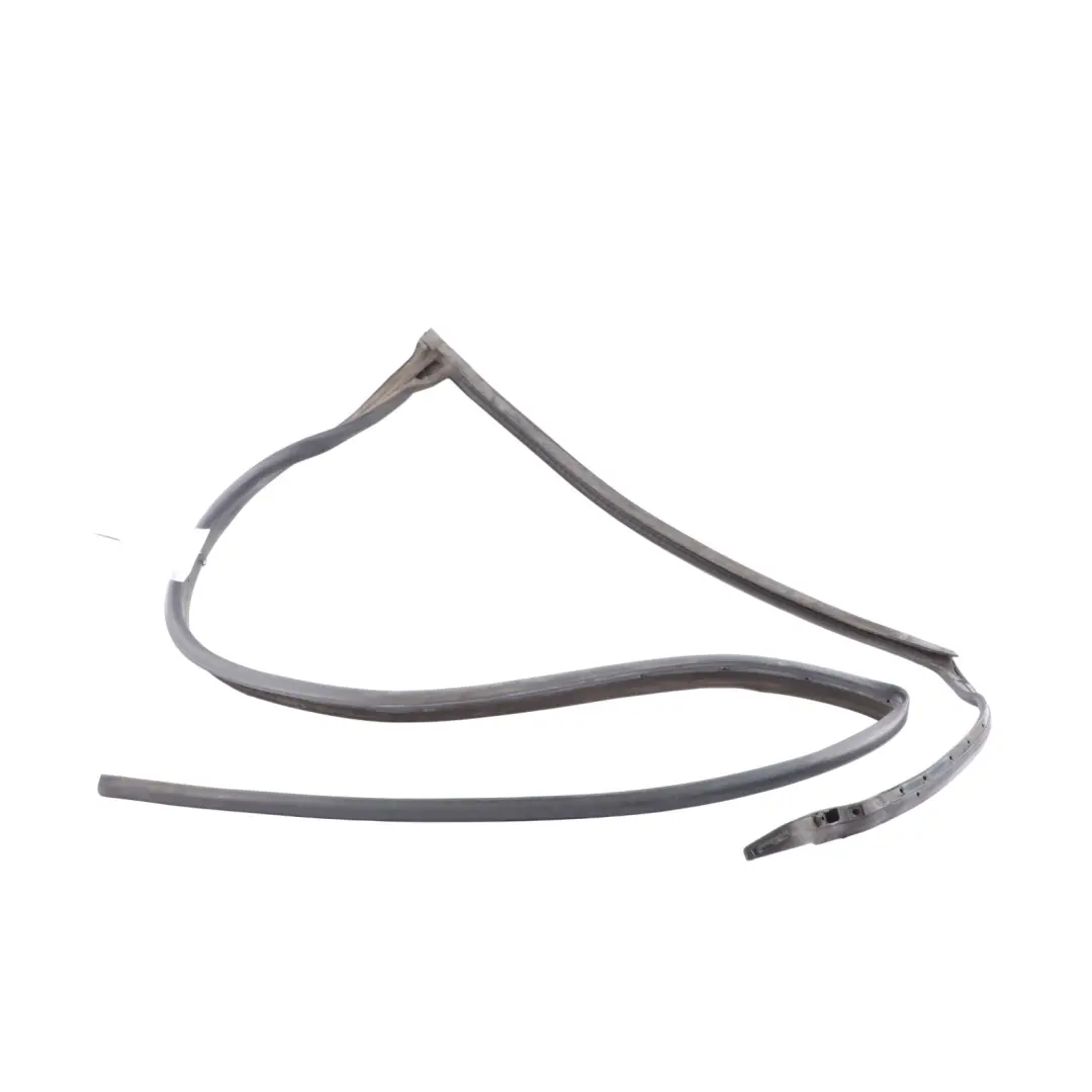 Audi Q7 4M Door Inner Sill Seal Gasket Rubber Weatherstrip Left N/S - SKU 4M0839119D - Part number 4M0839119D