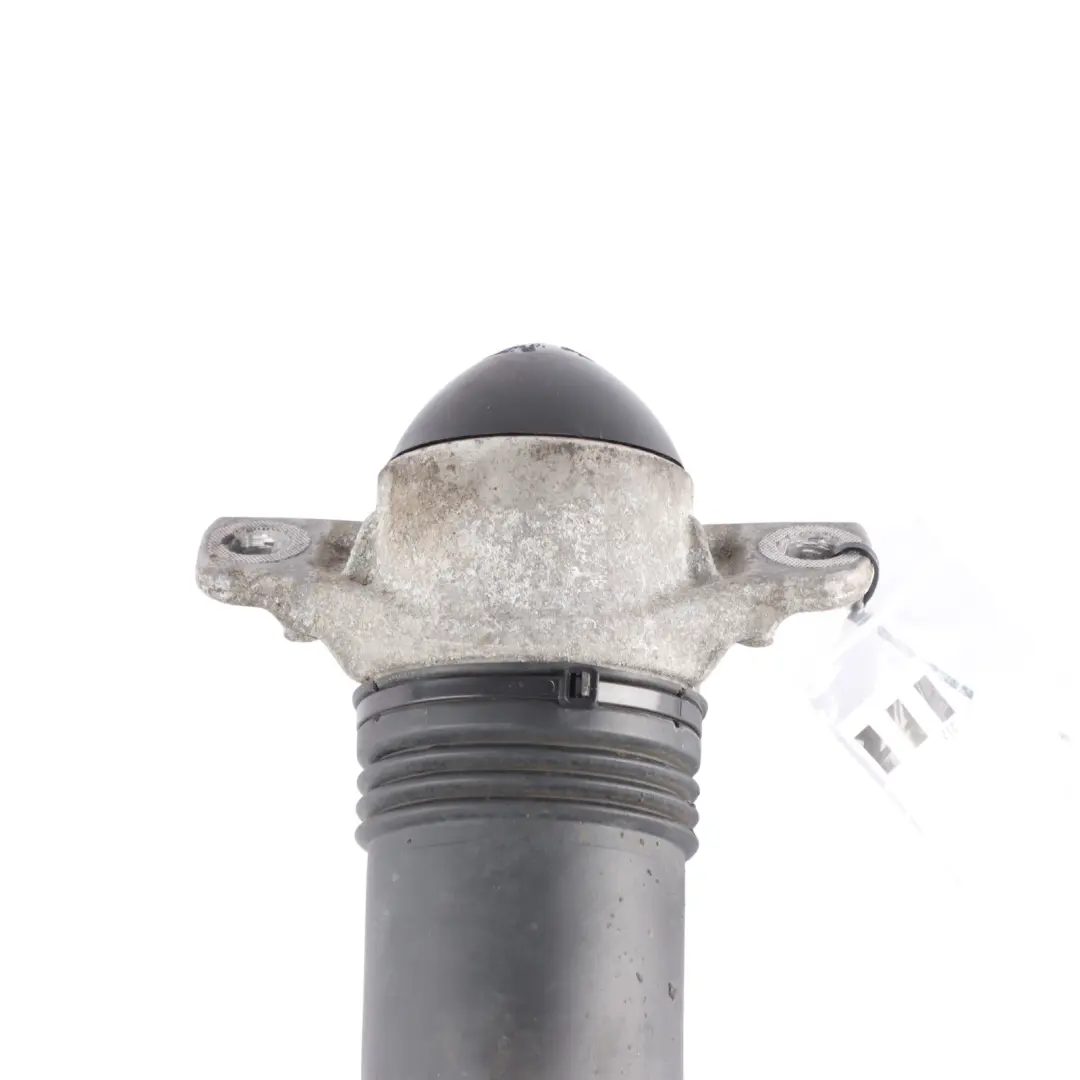 Audi A3 8V VW Golf 7 Molla Puntone Ammortizzatore Posteriore Monroe - SKU 376195SP-1 - Numero di parte 376195SP