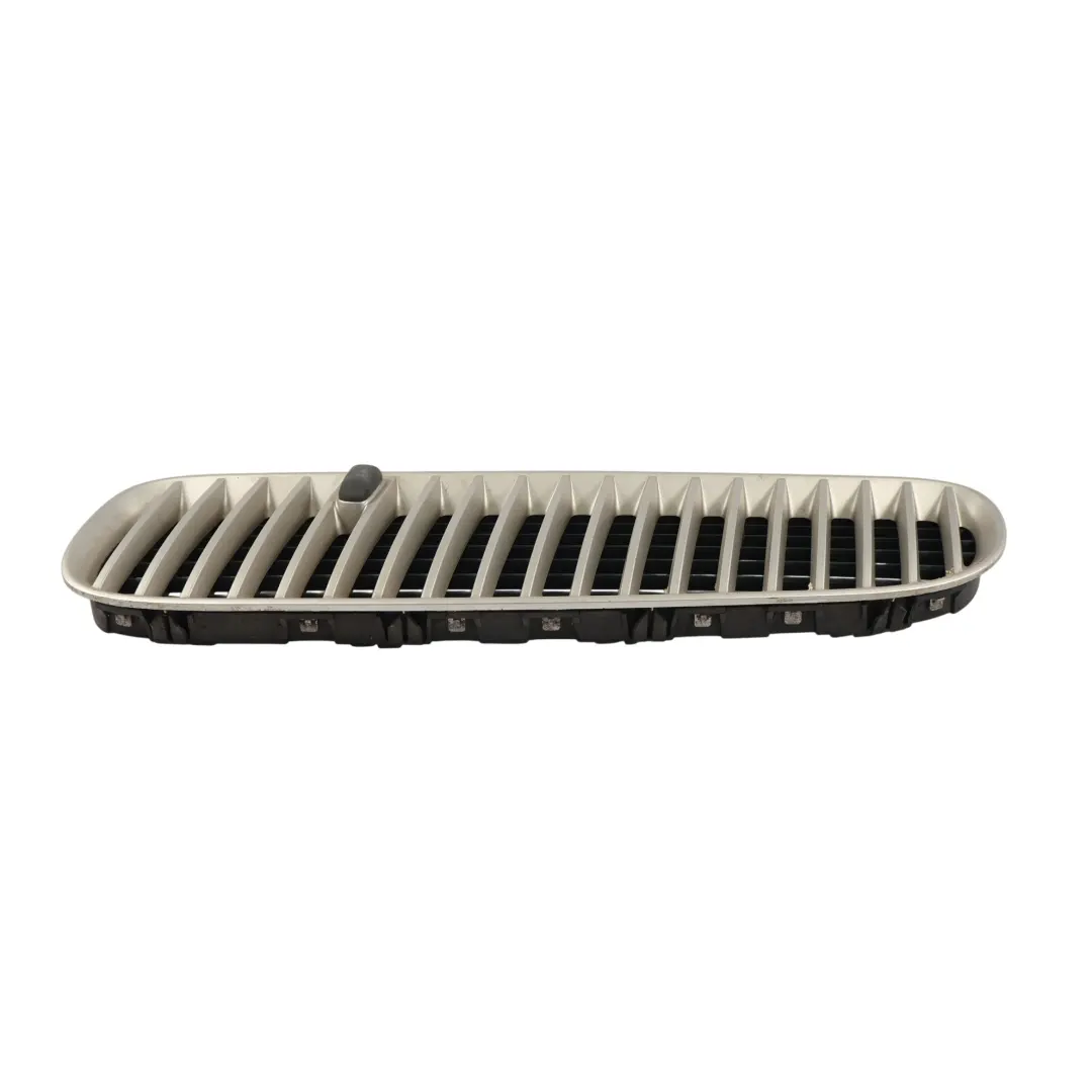 Parrilla Capó Air Vent Izquierda Parrilla Titan Line para BMW X5 E53 con número de pieza 7124823 BMW X5 E53 Parrilla Capó Air Vent Izquierda Parrilla Titan Line - SKU 7124823 - Número de pieza 7124823