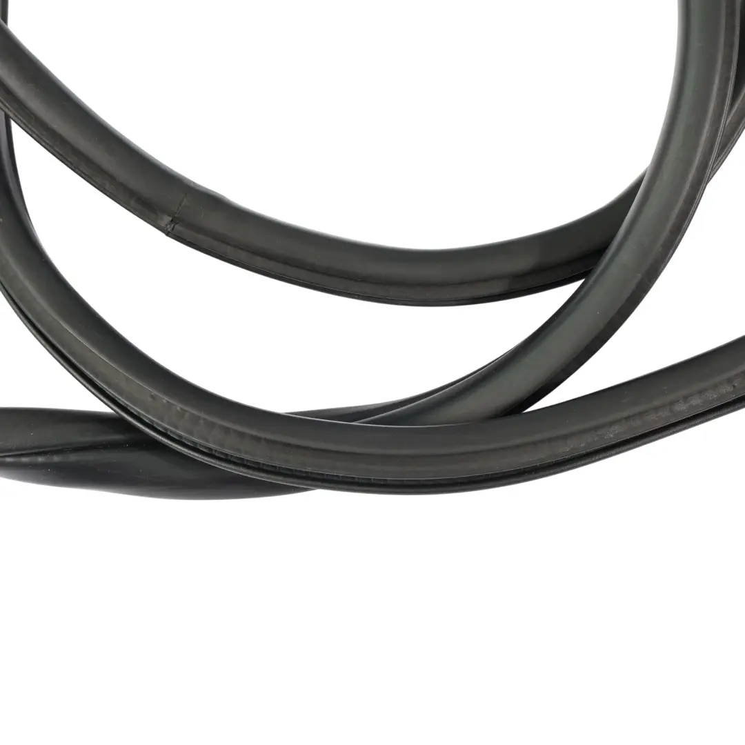 BMW X1 F48 Kantenschutz Türdichtung Vorne Links Rechts - SKU 7349628 - Teilenummer 7349628