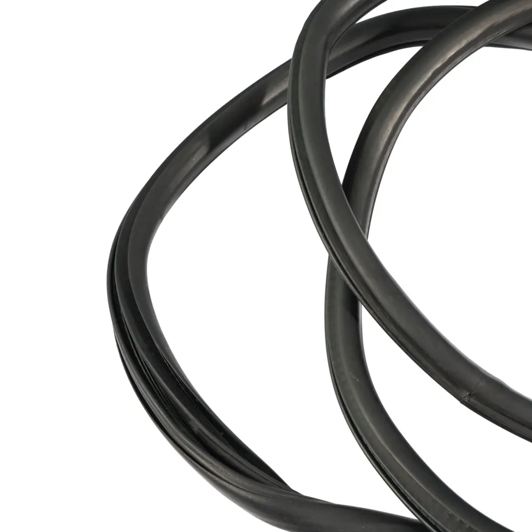 BMW X1 F48 Edge Protection Front Door Seal Gasket Left Right N/O/S - SKU 7349628 - Part number 7349628