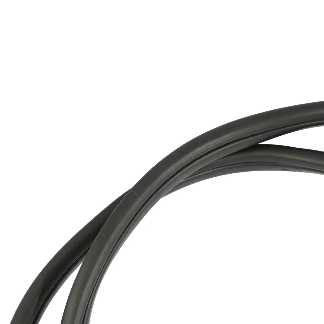 Protezione Bordi Guarnizione Porta Posteriore Sinistra Destra per BMW X1 F48 con numero di parte 7349665 BMW X1 F48 Protezione Bordi Guarnizione Porta Posteriore Sinistra Destra - SKU 7349665 - Numero di parte 7349665