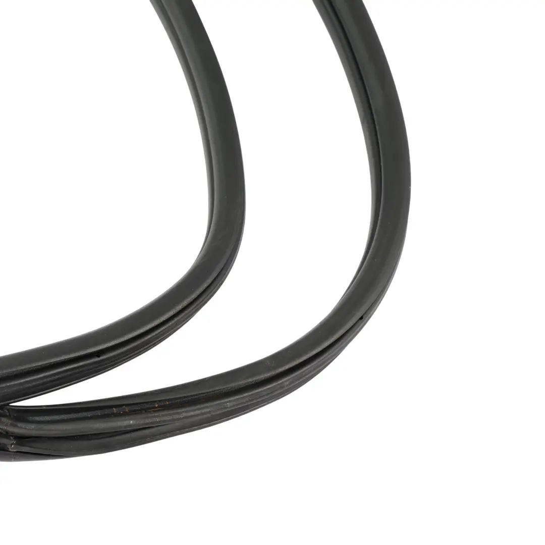 Junta De Protección De Puerta Trasera Izquierda Derecha para BMW X1 F48 con número de pieza 7349665 BMW X1 F48 Junta De Protección De Puerta Trasera Izquierda Derecha - SKU 7349665 - Número de pieza 7349665