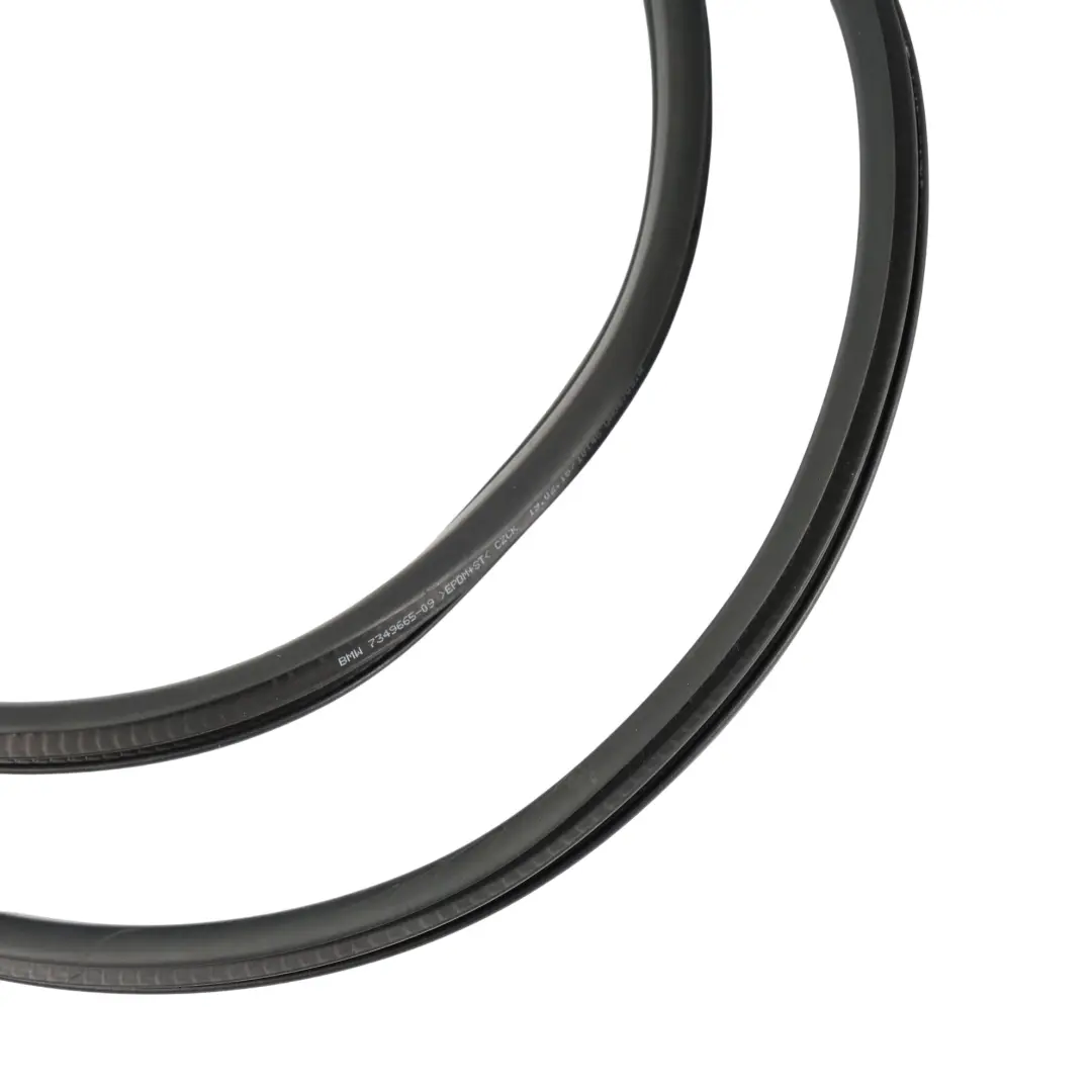 BMW X1 F48 Kantenschutz Hintere Tür Dichtung Links Rechts - SKU 7349665 - Teilenummer 7349665