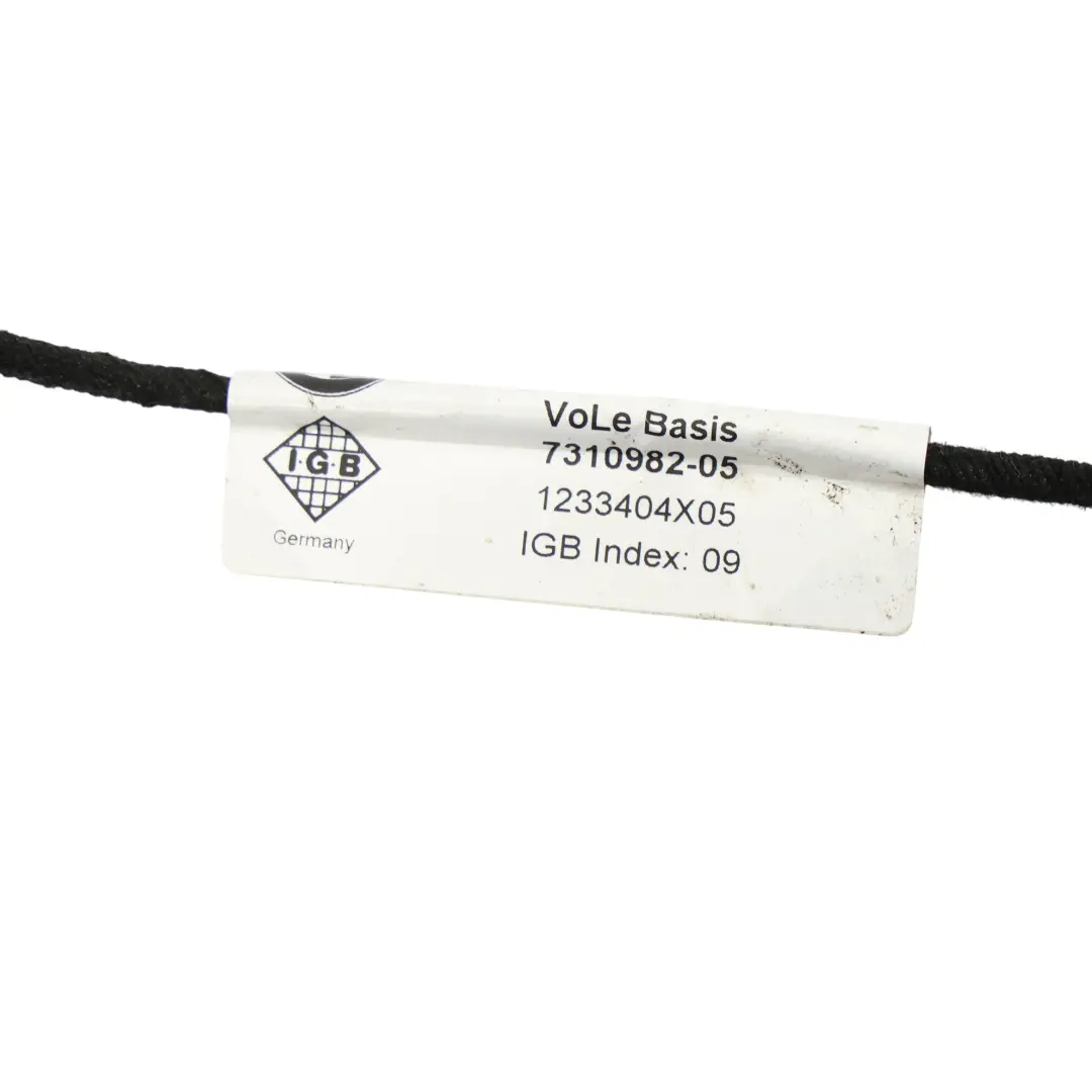 Respaldo Asiento Delantero Calefactable Izquierdo Cuero Dakota Oyster para BMW X1 F48 con número de pieza 7398423 BMW X1 F48 Respaldo Asiento Delantero Calefactable Izquierdo Cuero Dakota Oyster - SKU 7398423-1 - Número de pieza 7398423