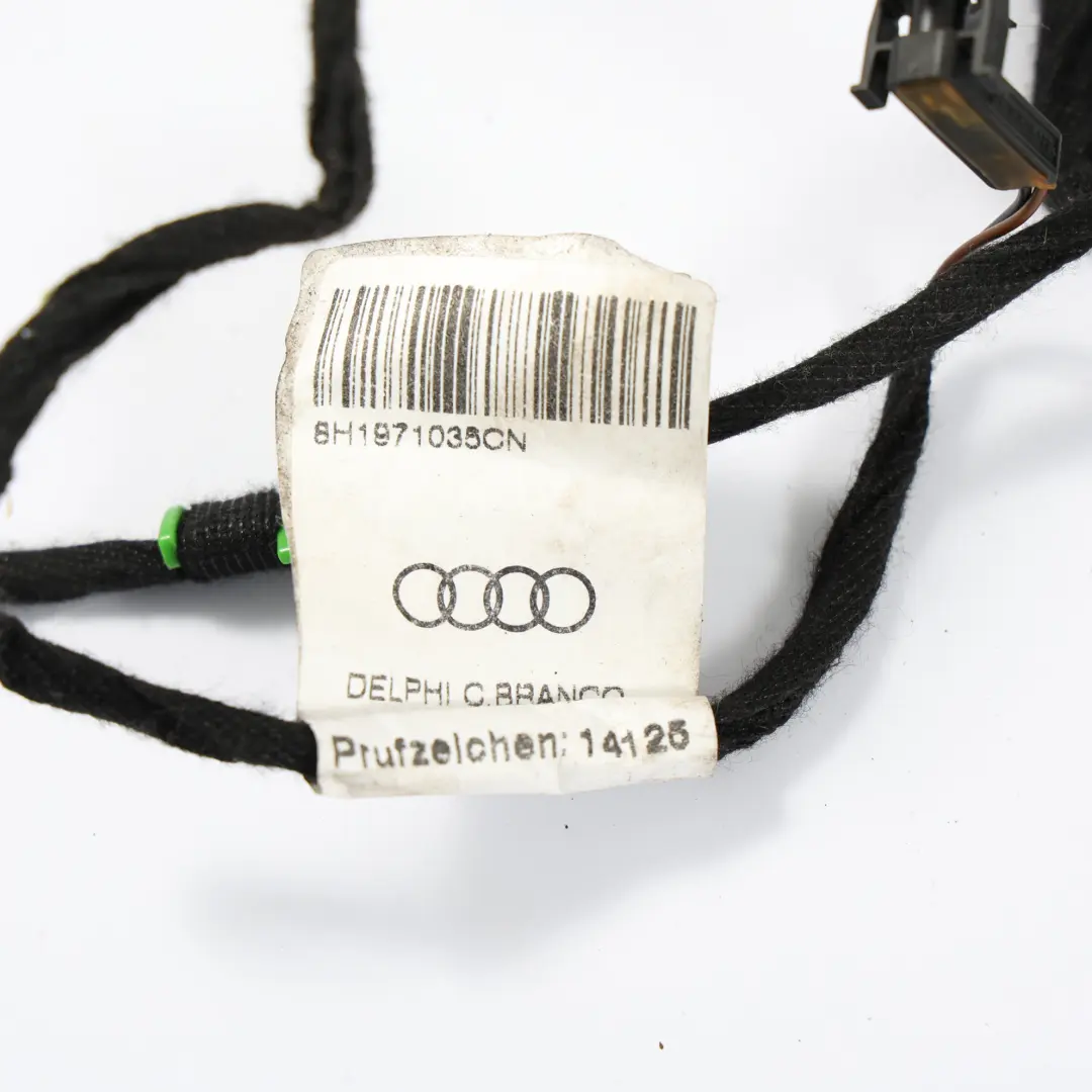 Audi A4 B7 Mazo De Cables Puerta Delantera Conductor Convertible - SKU 8H1971035CN - Número de pieza 8H1970035CN