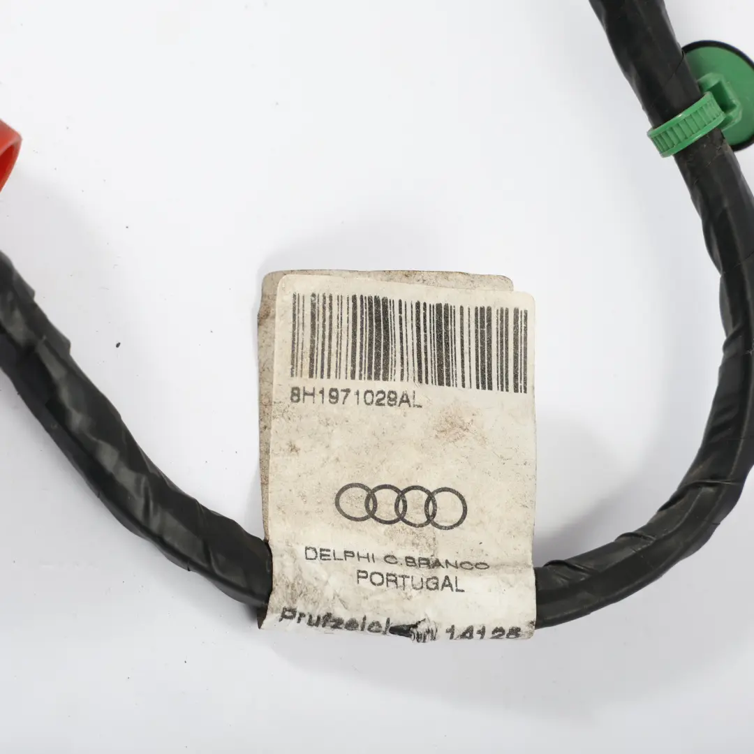 Audi A4 B7 Cabrio Vordere Fahrerseite Tür Kabelbaum Kabel - SKU 8H1971029AL - Teilenummer 8H1971029AL