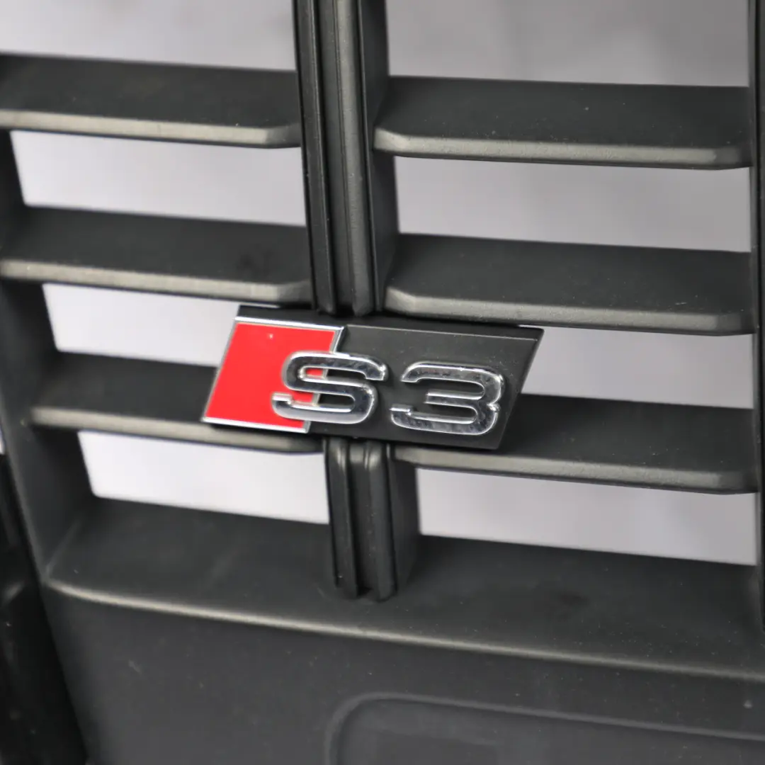 Audi A3 S3 8P S Line Front Bumper Main Grille Radiator Trim Panel - SKU 8P0853651Q - Part number 8P0853651Q