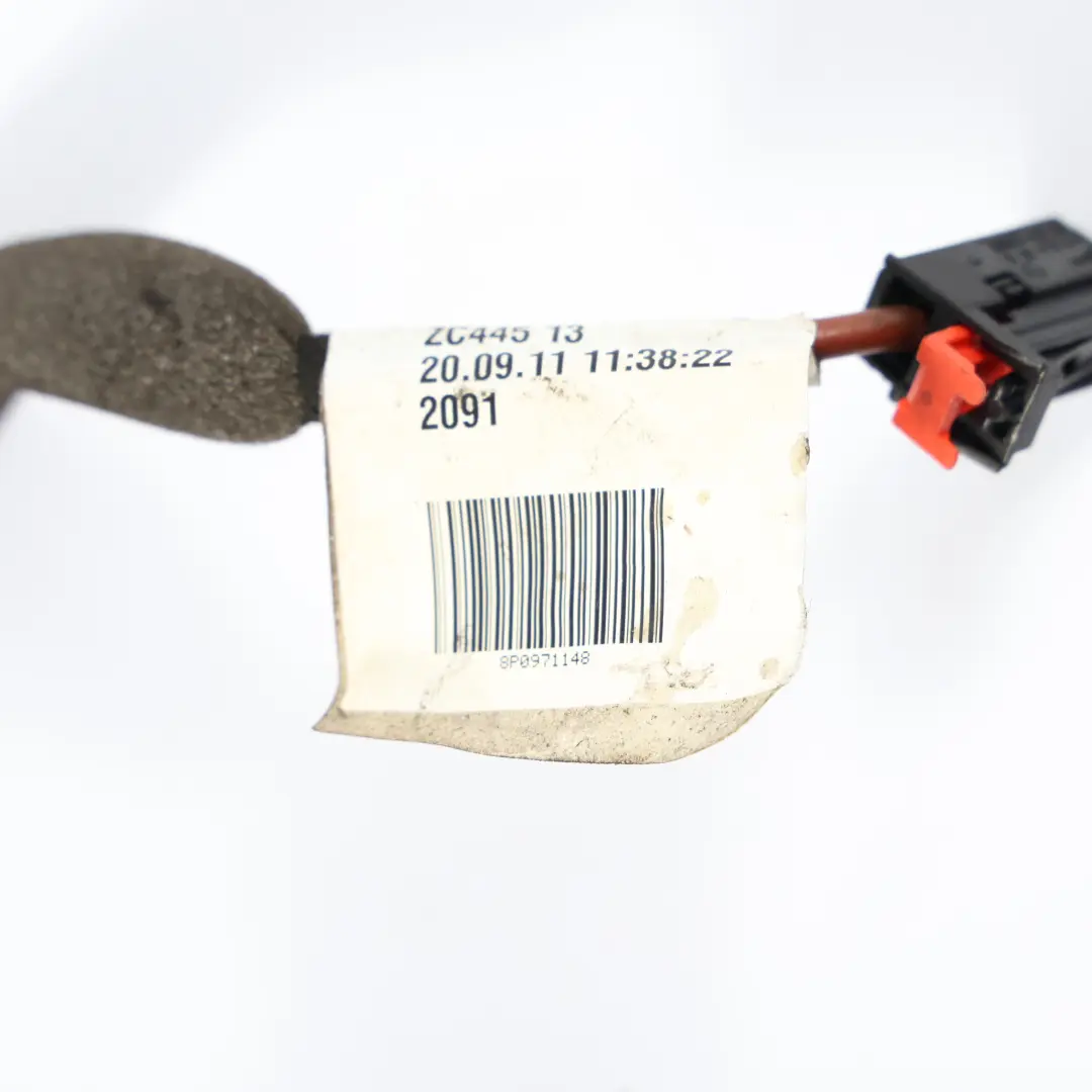 Audi A3 8P Faisceau De Câblage Lunette Arrière Chauffante Hayon - SKU 8P0971148 - Numéro de pièce 8P0971148