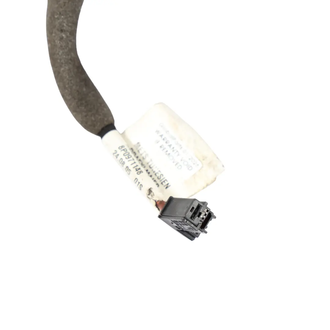 Audi A3 8P Portellone Posteriore Riscaldato Cablaggio Loom - SKU 8P0971148 - Numero di parte 8P0971148