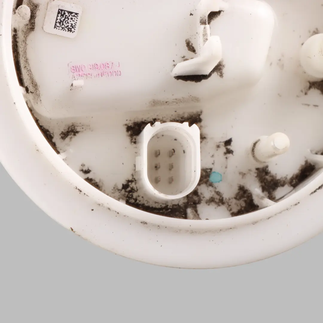 Pump Tank Sender Unit 3.0 TFSI CWGD to Audi S5 F5 Petrol Engine Fuel with Part number 8W0919087J Audi S5 F5 Petrol Engine Fuel Pump Tank Sender Unit 3.0 TFSI CWGD - SKU 8W0919087J - Part number 8W0919087J