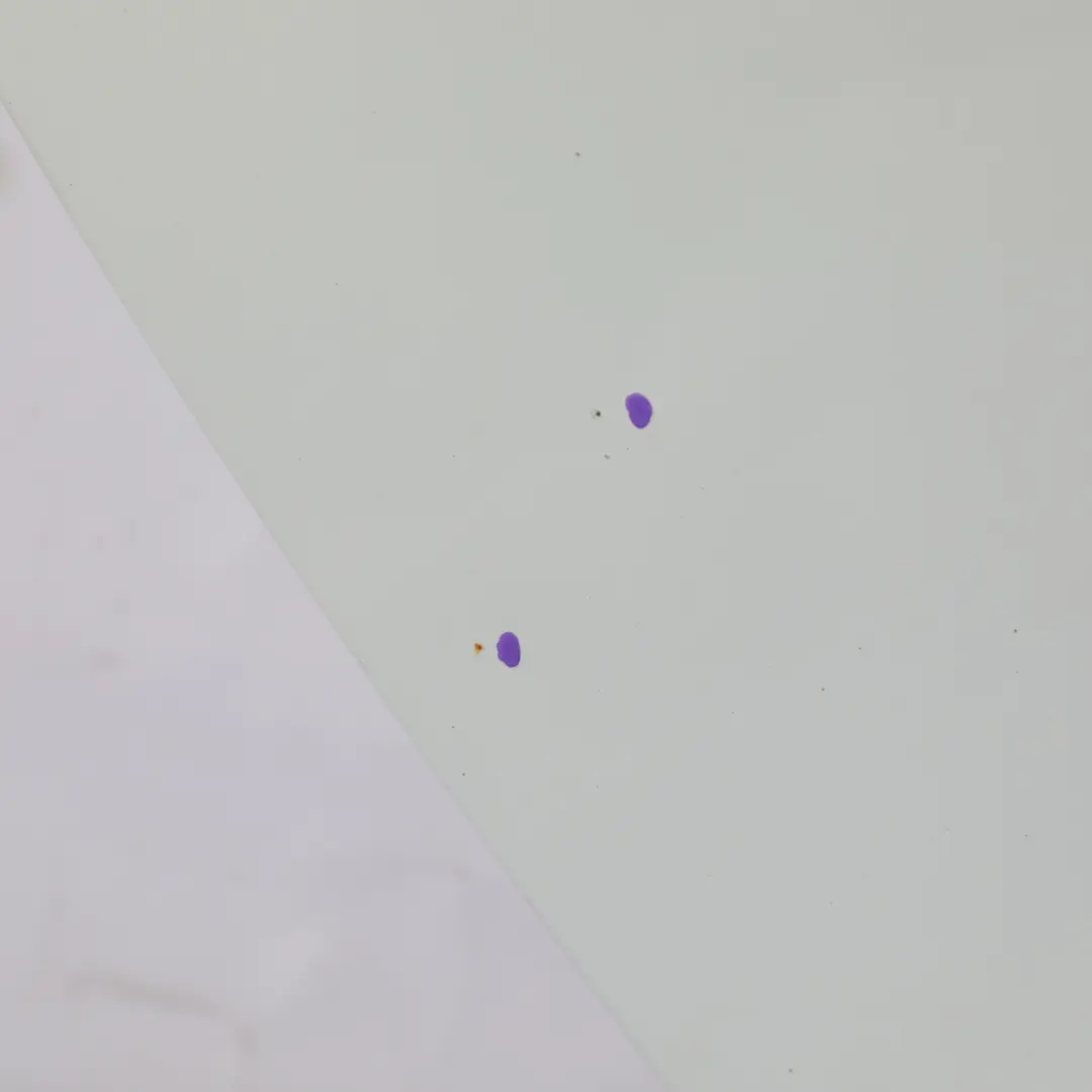 Door Rear Right O/S Covering Panel Glacier White Pearl - S9R to Audi A1 8X with Part number 8X4833052B Audi A1 8X Door Rear Right O/S Covering Panel Glacier White Pearl - S9R - SKU 8X4833052B-MGW - Part number 8X4833052B