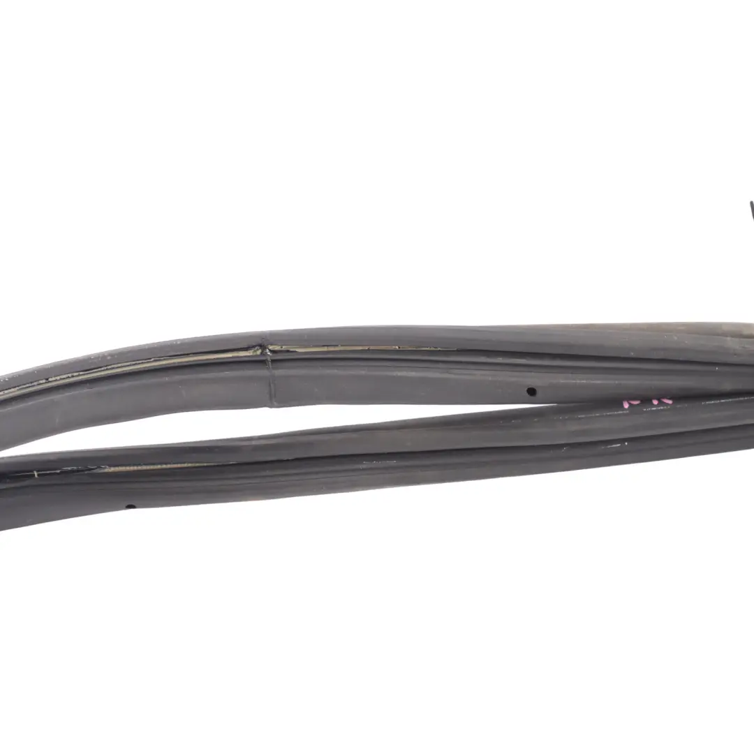 Puerta Delantera Junta Goma Izquierda Derecha para Porsche Cayenne 955 con número de pieza 95553791100 Porsche Cayenne 955 Puerta Delantera Junta Goma Izquierda Derecha - SKU 95553791100 - Número de pieza 95553791100