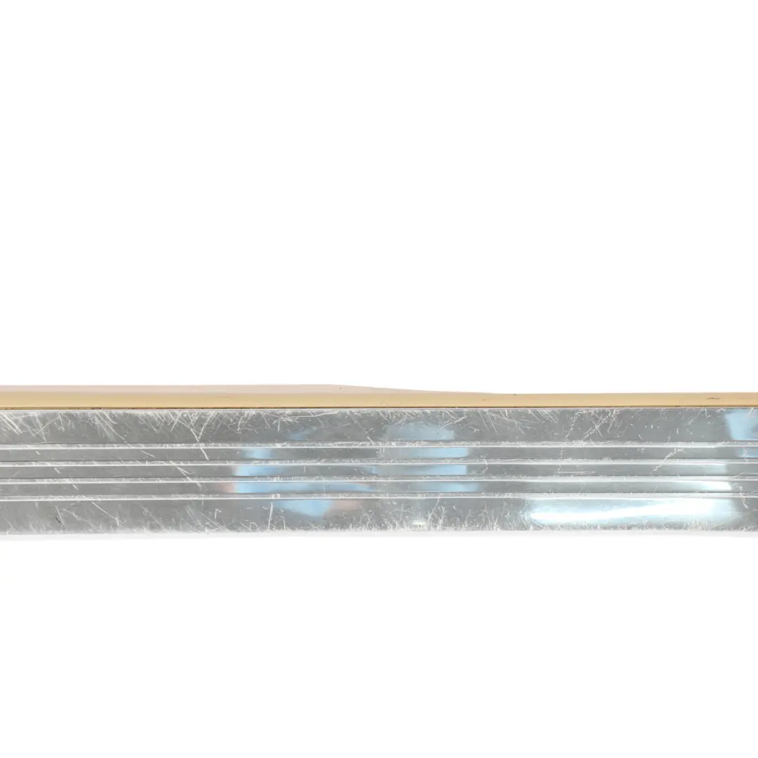 Mercedes W221 Door Sill Panel Trim Strip Cover Rear Left N/S Silver - SKU A2216801735-1 - Part number A2216801735