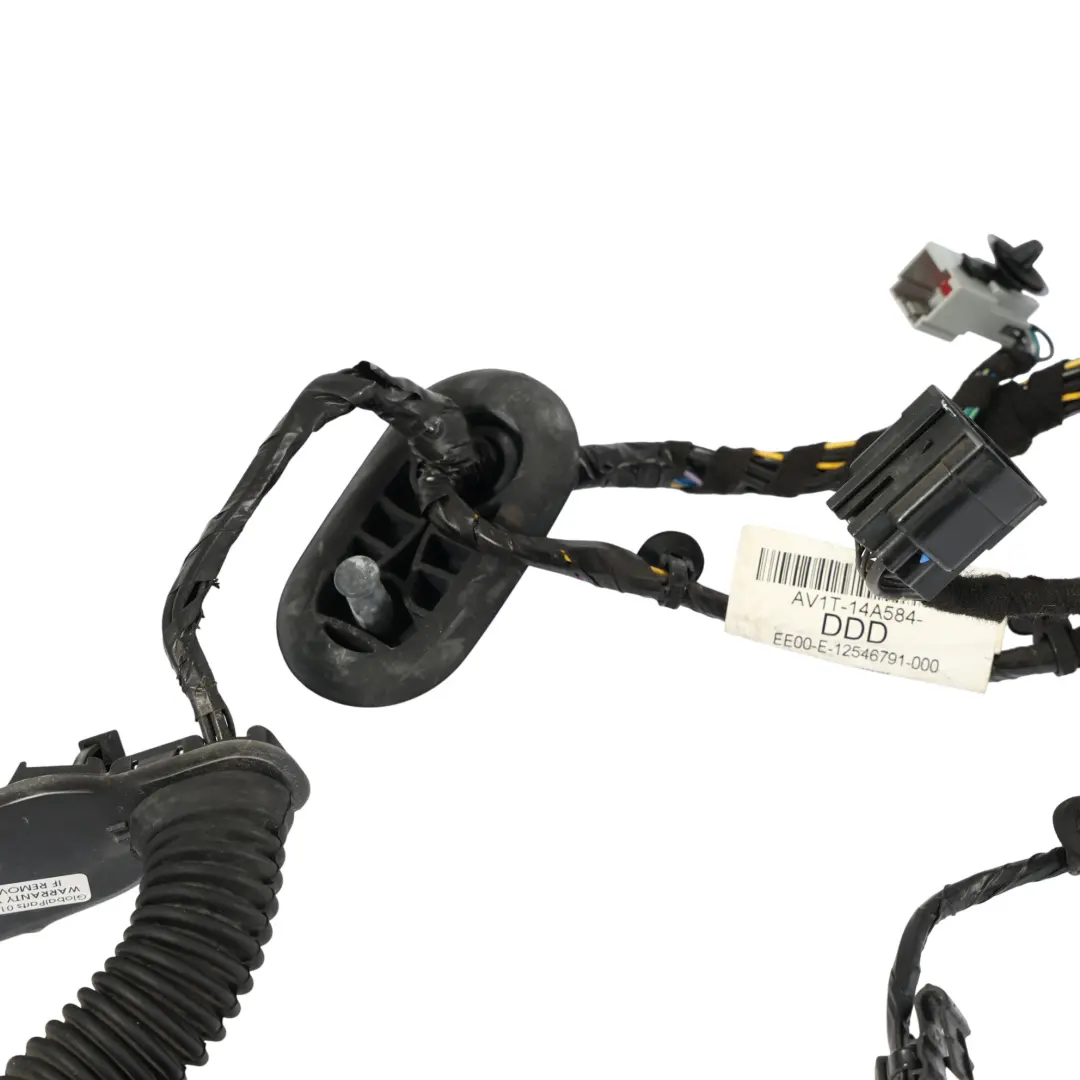 Ford B-Max Mk1 Puerta Delantera Mazo De Cables Cable Izquierdo - SKU AV1T-14A584-DDD - Número de pieza AV1T-14A584-DDD