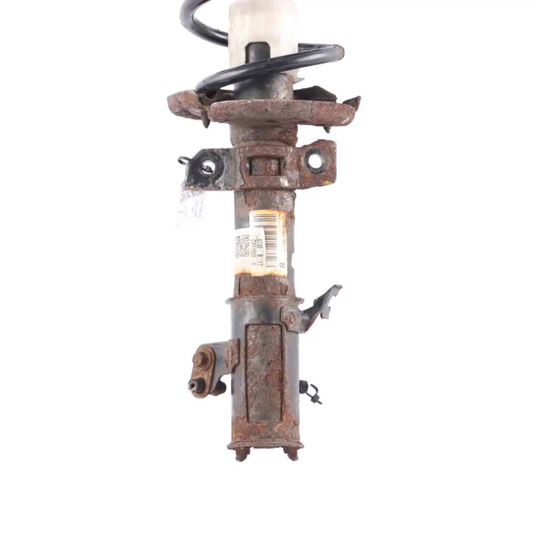 Front Shock Absorber Strut Spring Right O/S to Ford Fiesta Mk7 with Part number C1BC-18045-LG Ford Fiesta Mk7 Front Shock Absorber Strut Spring Right O/S - SKU C1BC-18045-LG - Part number C1BC-18045-LG