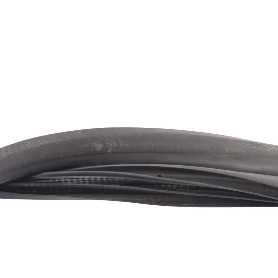 Guarnizione Porta Guarnizione Anteriore Sinistra per Ford Fiesta VI con numero di parte F1BB-B20531-AC Ford Fiesta VI Guarnizione Porta Guarnizione Anteriore Sinistra - SKU F1BB-B20531-AC - Numero di parte F1BB-B20531-AC