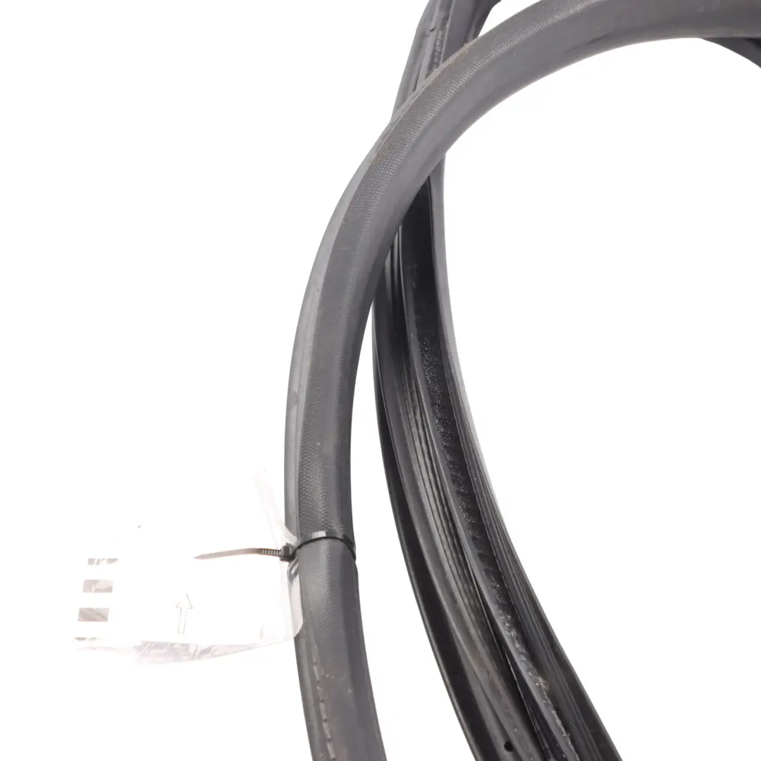 Ford Fiesta VI Uszczelka Guma Drzwi Lewy Przód - SKU F1BB-B20531-AC - Numer Części F1BB-B20531-AC