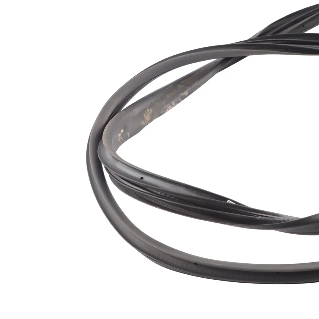 Ford Fiesta VI Guarnizione Porta Guarnizione Anteriore Sinistra - SKU F1BB-B20531-AC - Numero di parte F1BB-B20531-AC