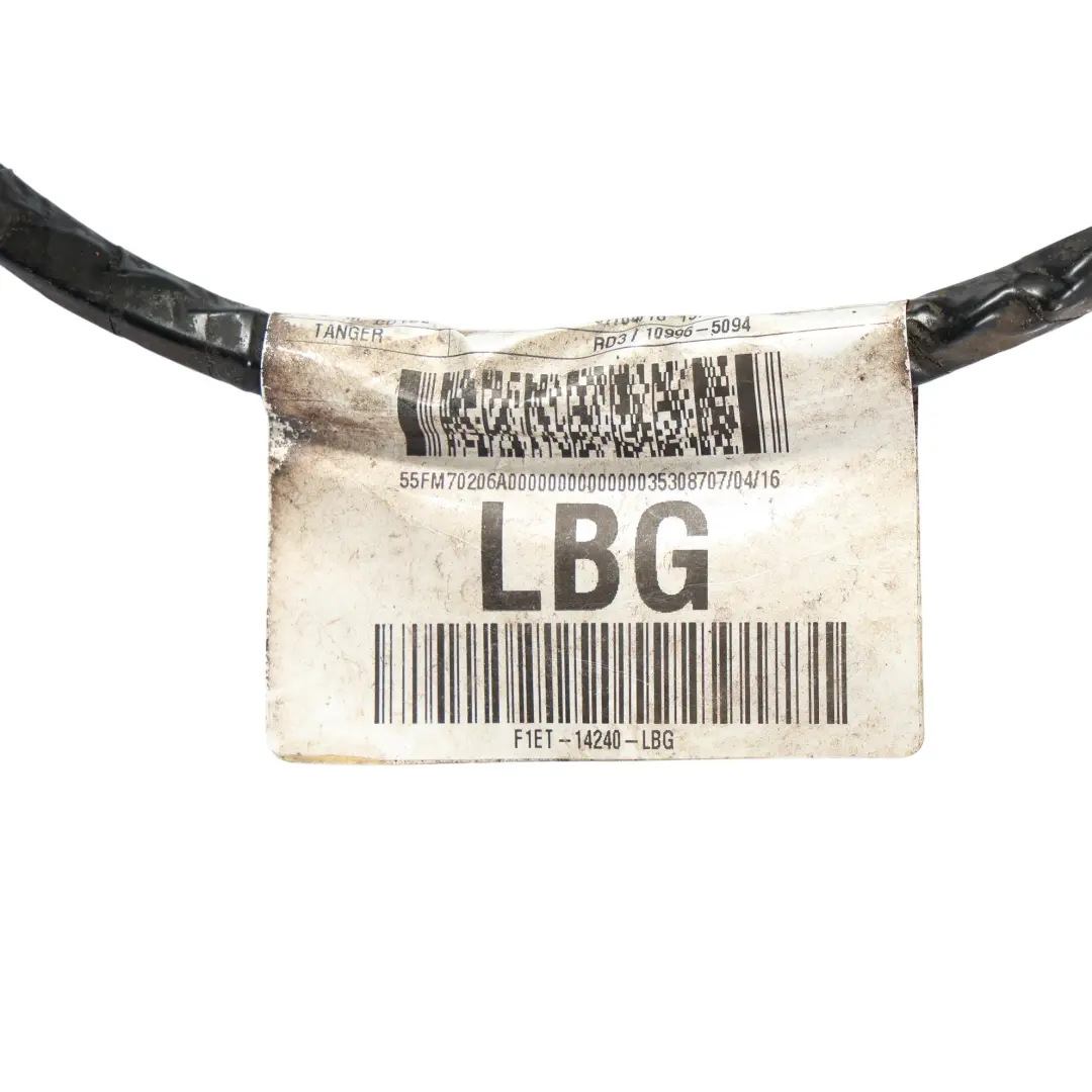Mk3 Cavo Porta Posteriore Cablaggio Loom Sinistro per Ford Focus con numero di parte F1ET-14240-LBG Ford Focus Mk3 Cavo Porta Posteriore Cablaggio Loom Sinistro - SKU F1ET-14240-LBG - Numero di parte F1ET-14240-LBG