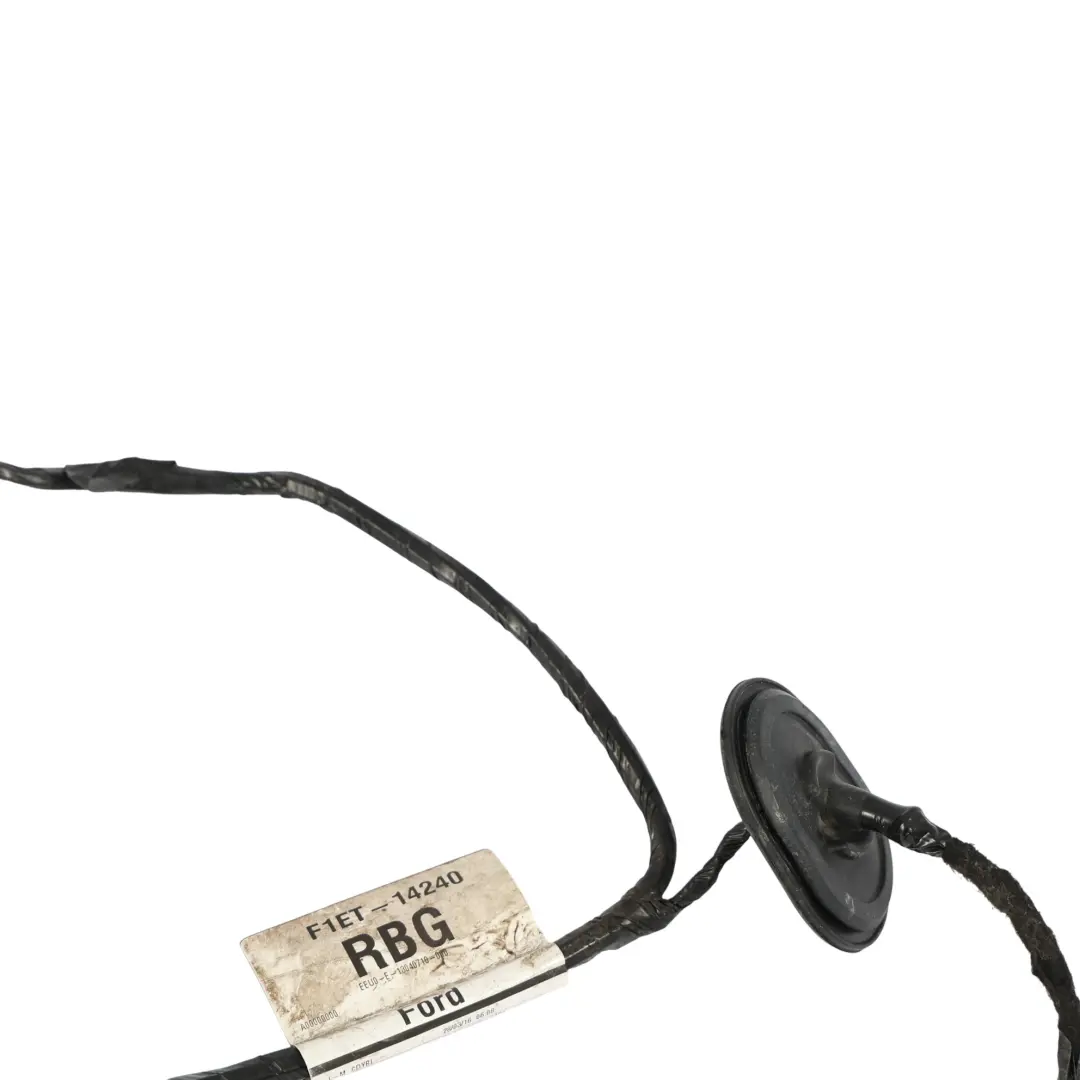 Ford Focus Mk3 Puerta Trasera Cableado Mazo Derecho - SKU F1ET-14240-RBG - Número de pieza F1ET-14240-RBG