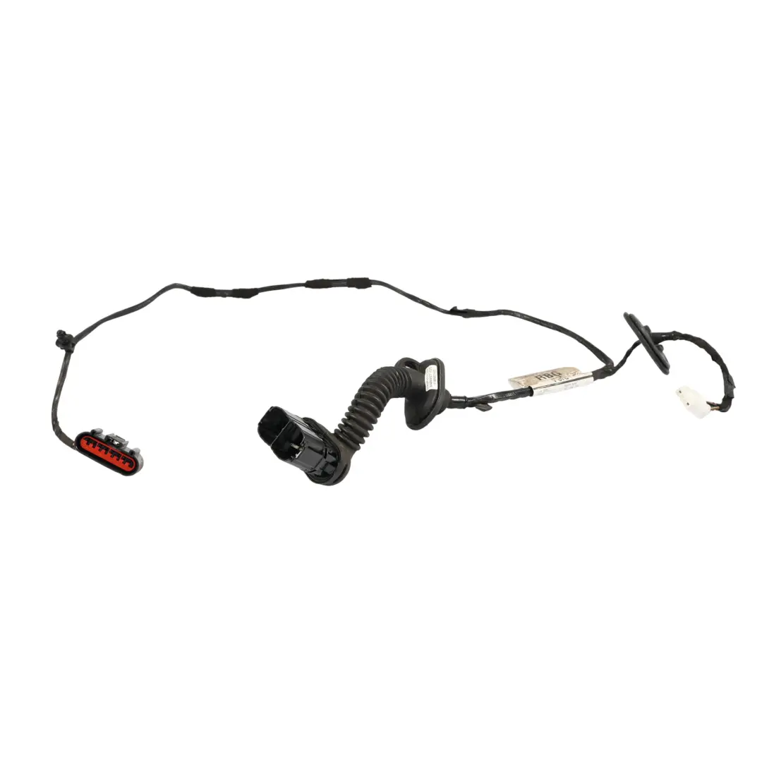 Ford Focus Mk3 Puerta Trasera Cableado Mazo Derecho - SKU F1ET-14240-RBG - Número de pieza F1ET-14240-RBG