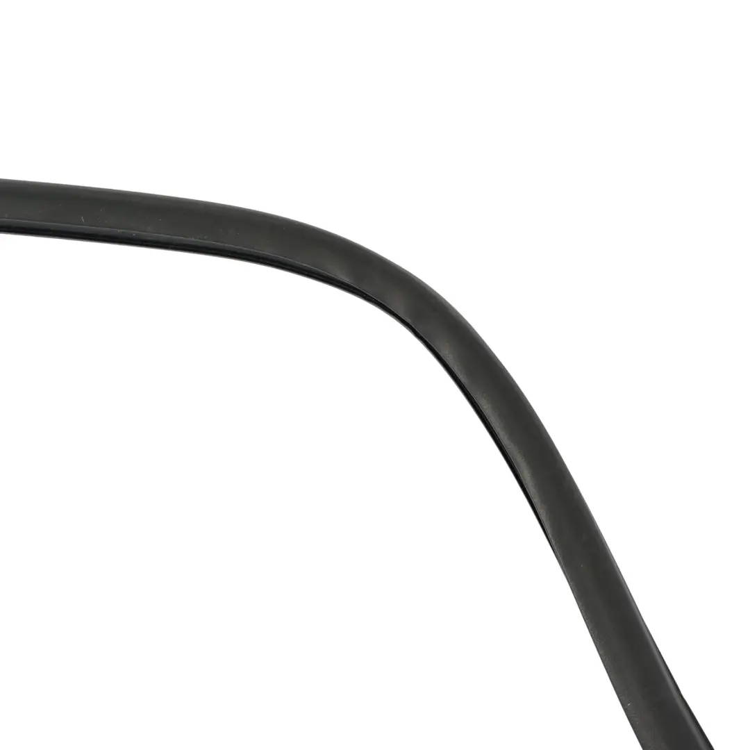 Ford Mustang VI Porta Finestra Guarnizione Anteriore Sinistra - SKU FR3B-6321597-A - Numero di parte FR3B-6321597-A