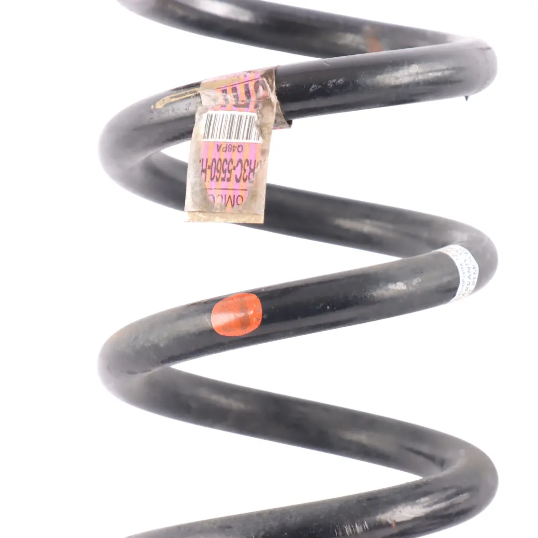 Ford Mustang VI GT 5.0 Suspension Rear Axle Coil Spring Set Left Right N/O/S - SKU JR3C-5560-HA - Part number JR3C-5560-HA