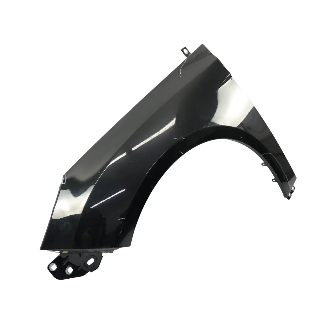 Pannello Laterale Anteriore Sinistro Parafango Panther Black - D9 per Ford Focus III con numero di parte 2171304 Ford Focus III Pannello Laterale Anteriore Sinistro Parafango Panther Black - D9 - SKU 2171304-PBL - Numero di parte 2171304