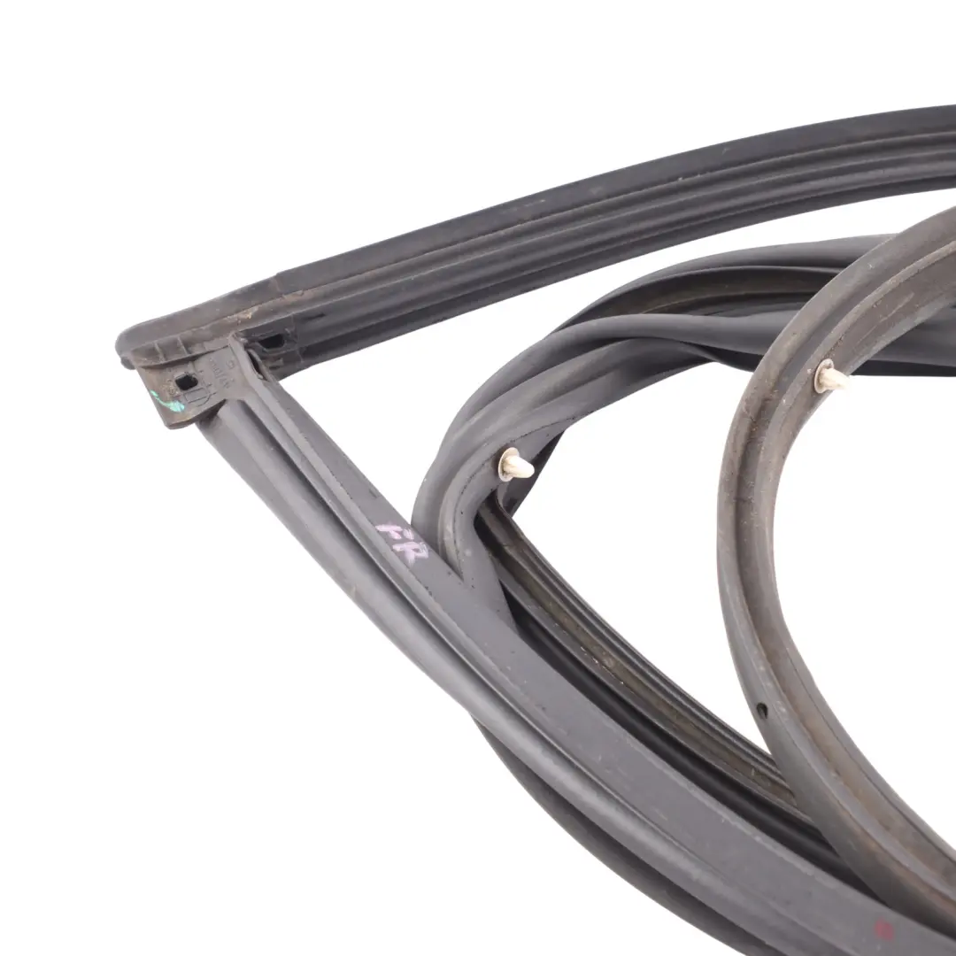 Ford Fiesta Mk7 Front Door Foam Pad Front Right O/S - SKU 2054835 - Part number 2198955