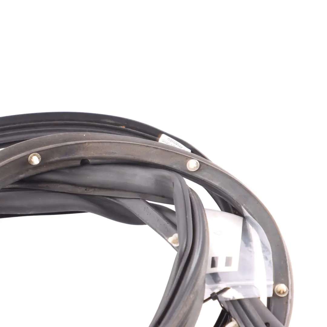 Ford Fiesta Mk7 Front Door Foam Pad Front Right O/S - SKU 2054835 - Part number 2198955