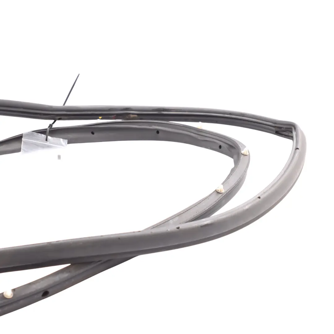 Front Door Foam Pad Front Right O/S to Ford Fiesta Mk7 with Part number 2198955 Ford Fiesta Mk7 Front Door Foam Pad Front Right O/S - SKU 2054835 - Part number 2198955