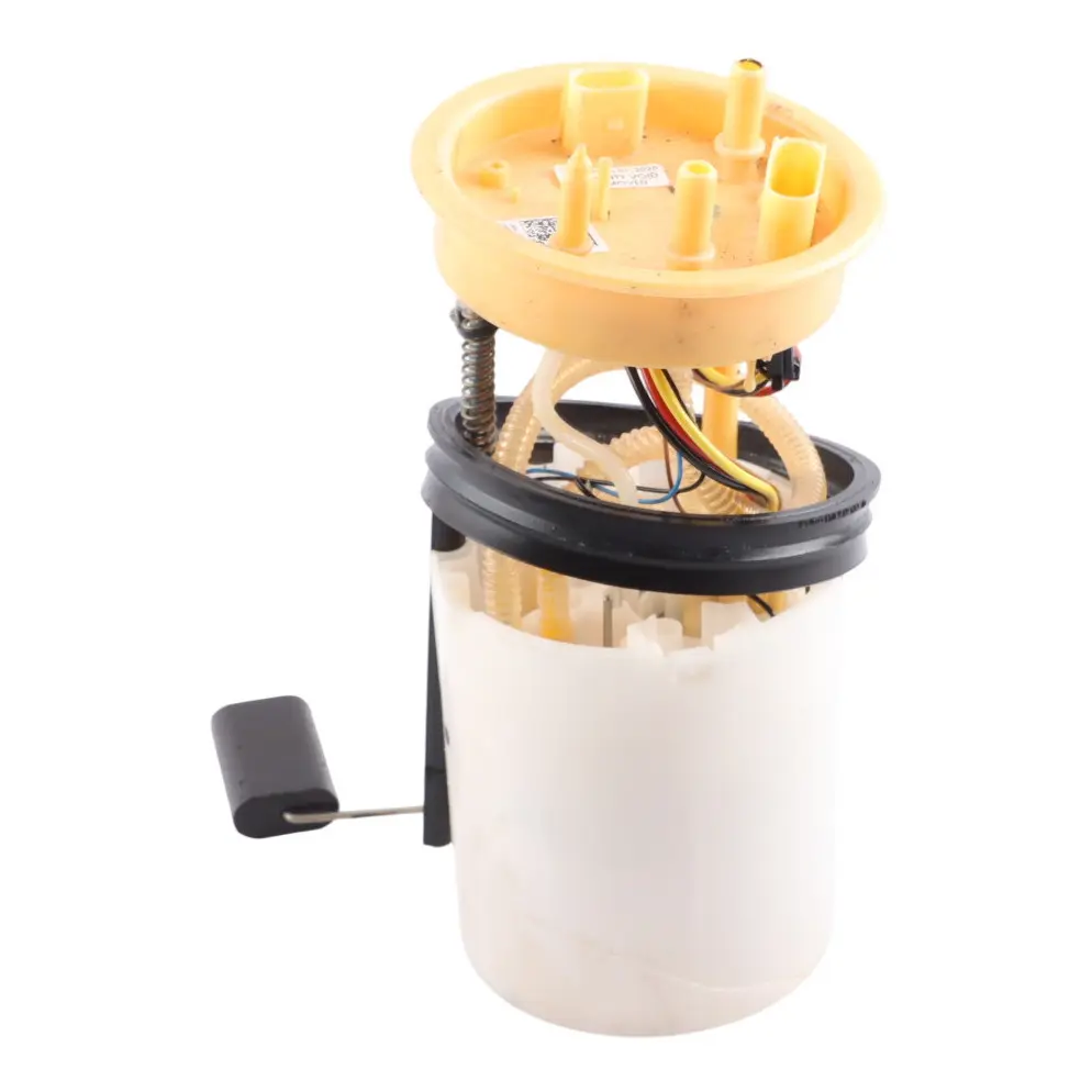 Volkswagen Crafter Sy Fuel Delivery Unit Pump And Sender - SKU 2N0919050D - Part number 2N0919050D