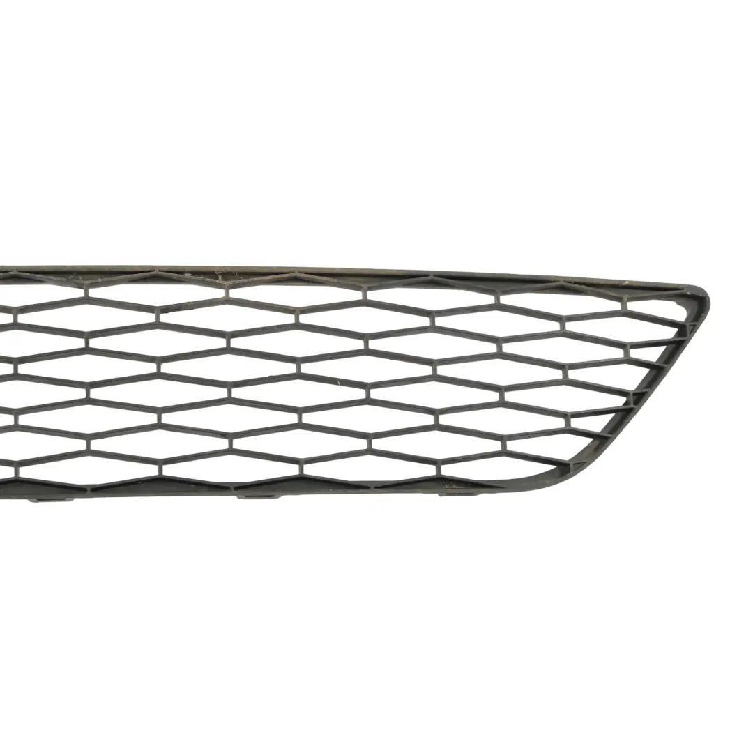 Seat Exeo Front Radiator Lower Grille Grill Bumper Cover Trim - SKU 3R0853667 - Part number 3R0853667
