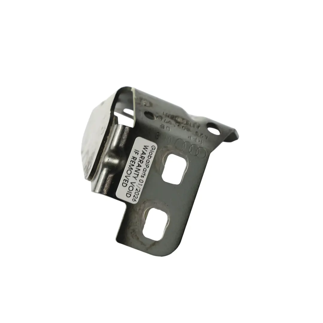 Audi R8 42 Support De Fixation Inférieur Arrière Droit - SKU 420809076A - Numéro de pièce 420809076A