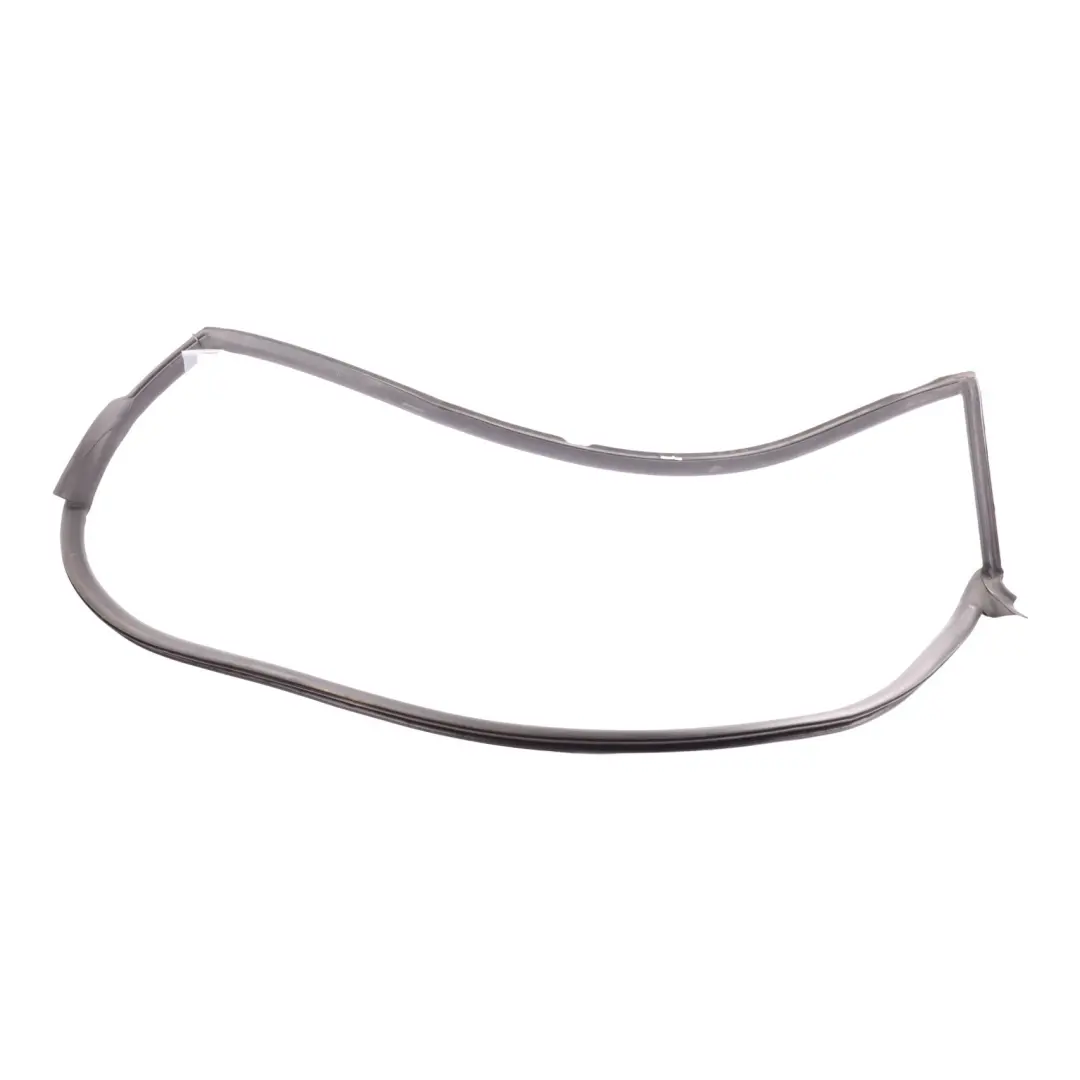 Audi R8 42 Spyder Inner Door Seal Rubber Gasket Front Left N/S - SKU 420831707C - Part number 420831707C