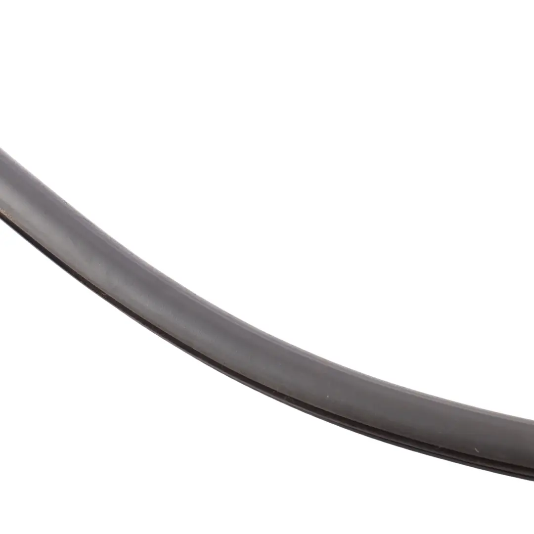 Audi R8 42 Spyder Inner Door Seal Rubber Gasket Front Left N/S - SKU 420831707C - Part number 420831707C