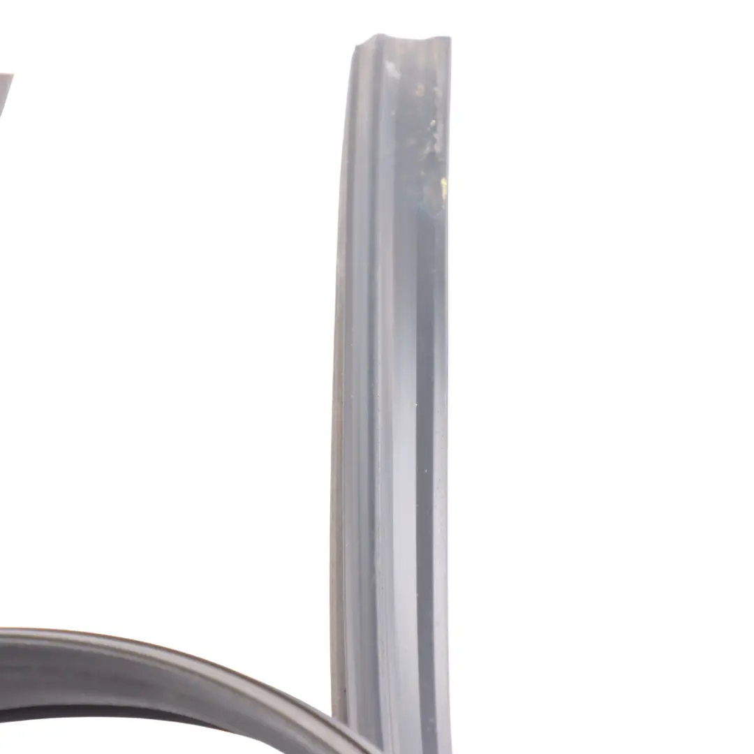 Audi R8 42 Edge Protection Roof Sill Seal Gasket Front Left N/S - SKU 420854543 - Part number 420854543