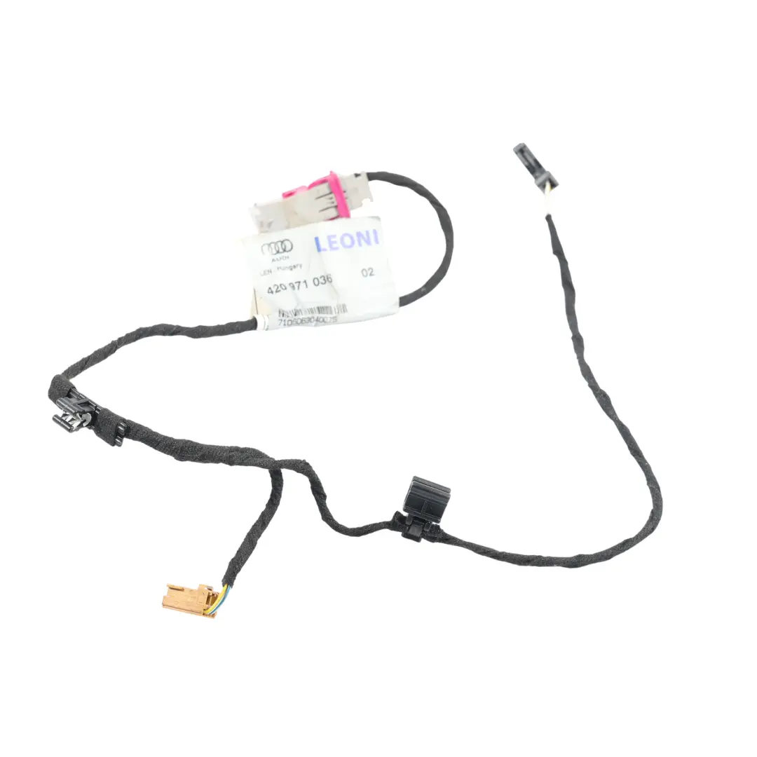 Audi R8 42 Vordertür Kabelbaum Rechts - SKU 420971036 - Teilenummer 420971036