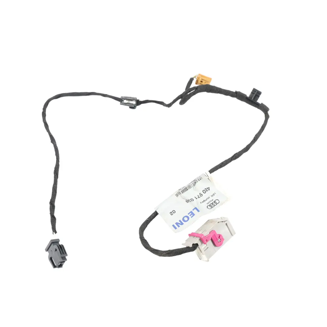 Audi R8 42 Faisceau De Câbles De Porte Avant Droite - SKU 420971036 - Numéro de pièce 420971036