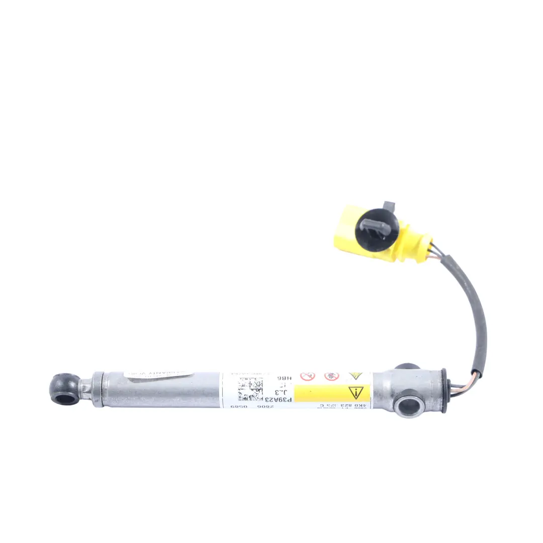 Audi A6 C8 Actuador Bisagra Capó Protección Izquierda Derecha - SKU 4K0823823C - Número de pieza 4K0823823C