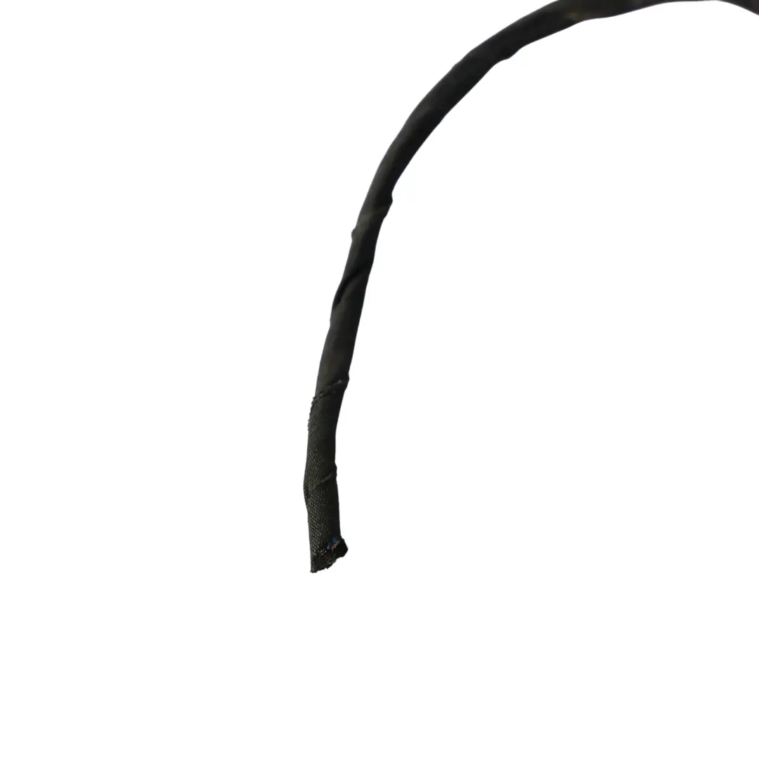 Interior Trasera Puerta Luz Cableado Izquierda para Audi A6 S6 C8 con número de pieza 4K5945091D Audi A6 S6 C8 Interior Trasera Puerta Luz Cableado Izquierda - SKU 4K5945091D-2 - Número de pieza 4K5945091D