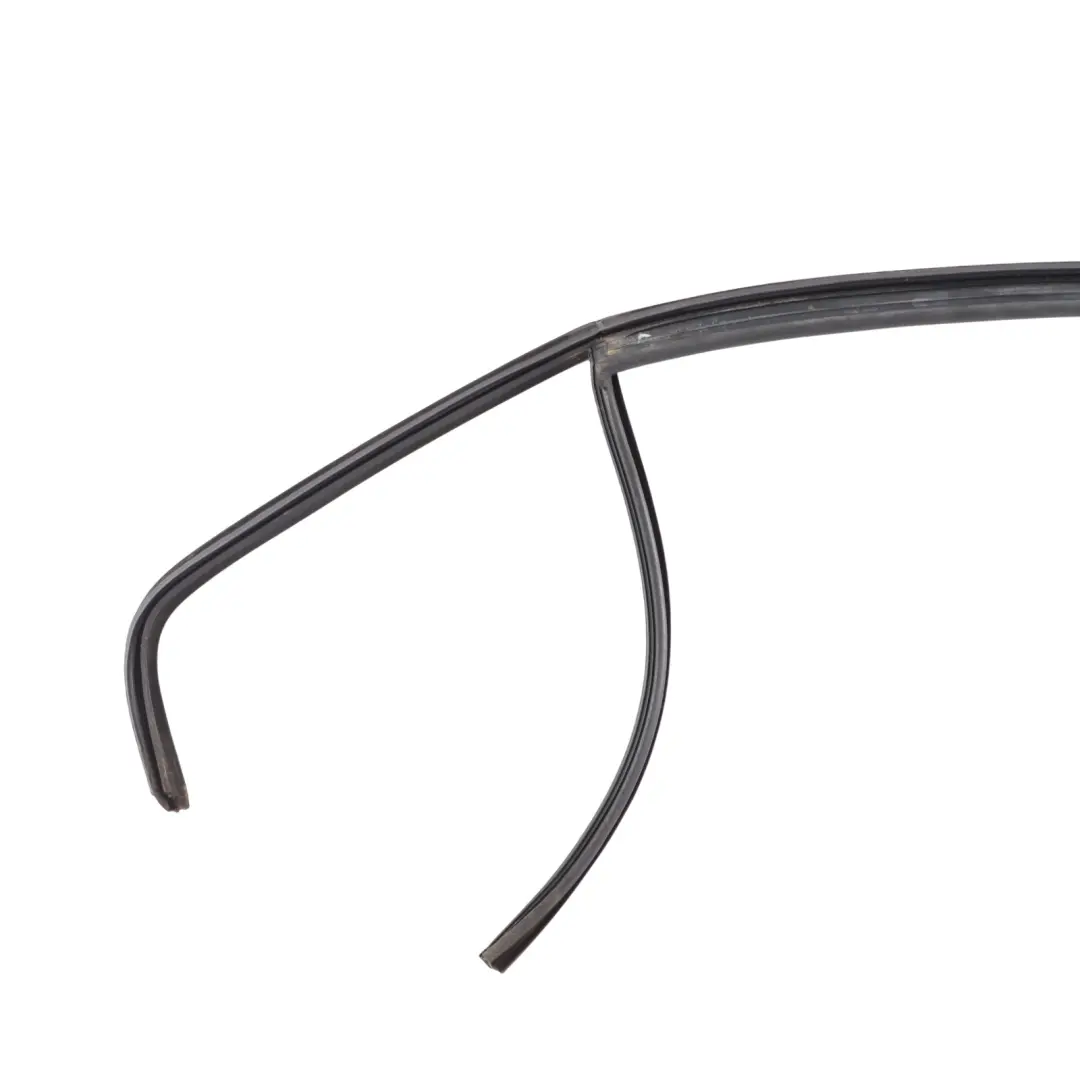 Volkswagen VW Jetta A6 Winow Guide Seal Gasket Rubber Rear Left N/S - SKU 5C6839431 - Part number 5C6839431