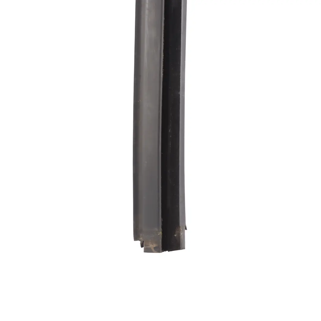 Volkswagen VW Jetta A6 Winow Guide Seal Gasket Rubber Rear Left N/S - SKU 5C6839431 - Part number 5C6839431