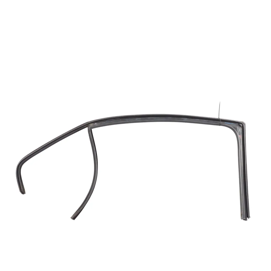 Volkswagen VW Jetta A6 Winow Guide Seal Gasket Rubber Rear Left N/S - SKU 5C6839431 - Part number 5C6839431