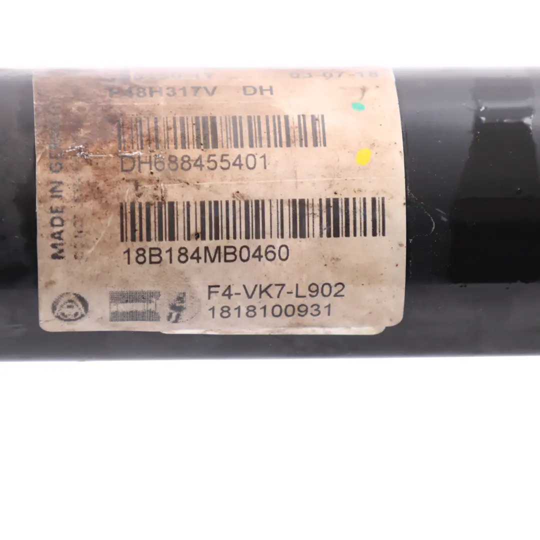 Strut Shock Absorber Rear Left Right to BMW X1 F48 Active Spring with Part number 6884554 BMW X1 F48 Active Spring Strut Shock Absorber Rear Left Right - SKU 6884554 - Part number 6884554