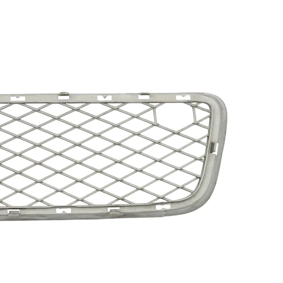 BMW X5 E70 Cache Moulure Calandre Centrale Pare-Chocs Avant Inférieur 7163956 - SKU 7163957 - Numéro de pièce 7163957